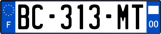 BC-313-MT