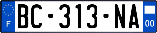 BC-313-NA