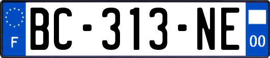 BC-313-NE