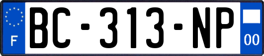 BC-313-NP
