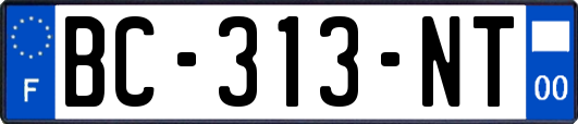BC-313-NT