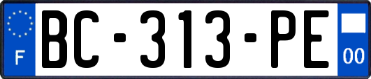 BC-313-PE