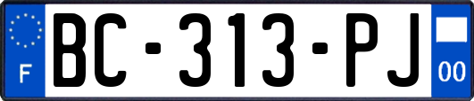 BC-313-PJ