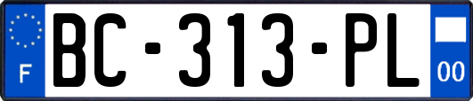 BC-313-PL