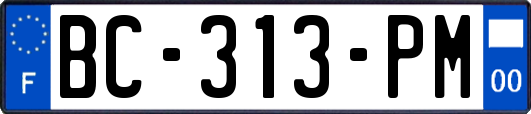 BC-313-PM