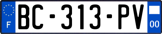 BC-313-PV