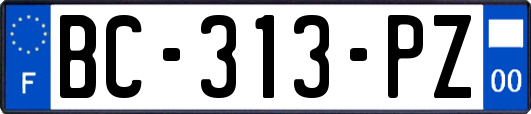 BC-313-PZ