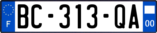 BC-313-QA