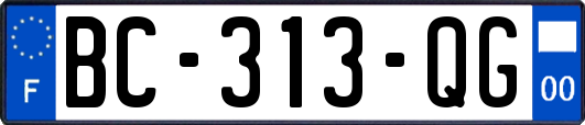 BC-313-QG