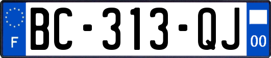 BC-313-QJ