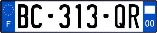 BC-313-QR