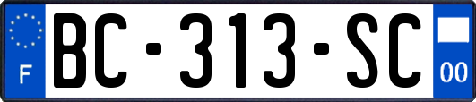 BC-313-SC