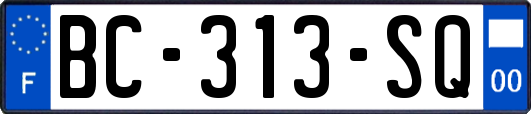 BC-313-SQ