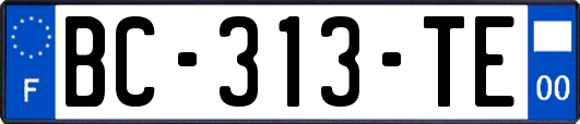 BC-313-TE
