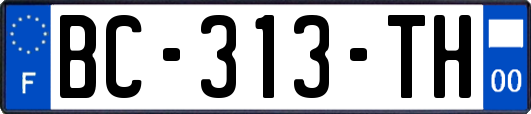 BC-313-TH