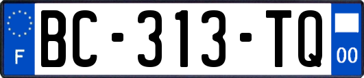 BC-313-TQ