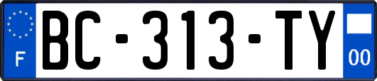 BC-313-TY