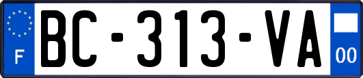 BC-313-VA