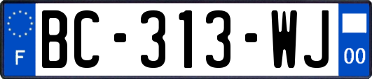 BC-313-WJ