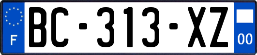 BC-313-XZ