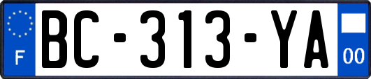 BC-313-YA