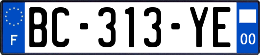 BC-313-YE
