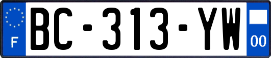 BC-313-YW