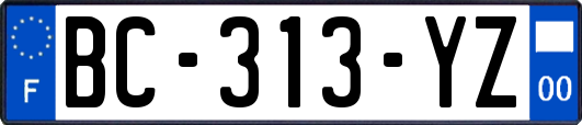 BC-313-YZ