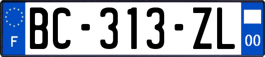 BC-313-ZL