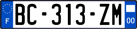 BC-313-ZM