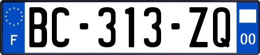 BC-313-ZQ