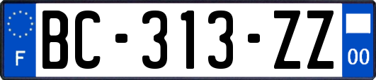 BC-313-ZZ