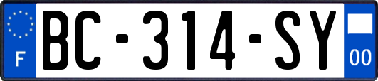 BC-314-SY