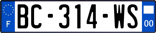 BC-314-WS