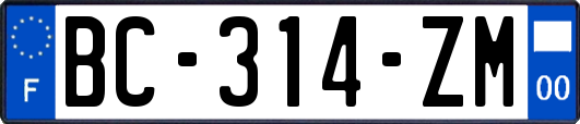 BC-314-ZM