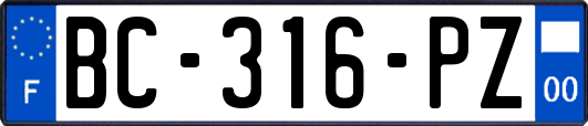 BC-316-PZ