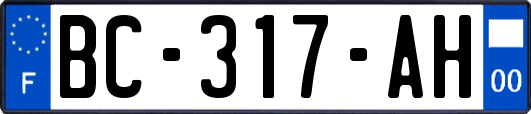 BC-317-AH