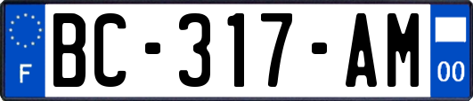 BC-317-AM