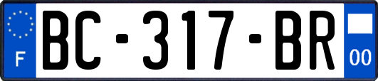 BC-317-BR