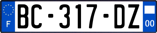 BC-317-DZ