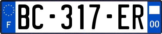BC-317-ER