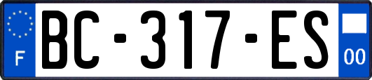 BC-317-ES