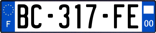 BC-317-FE