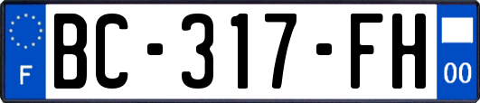 BC-317-FH