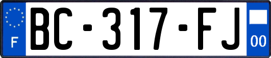 BC-317-FJ