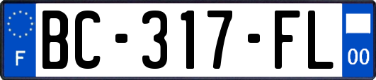 BC-317-FL