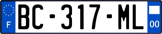 BC-317-ML
