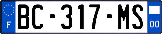 BC-317-MS