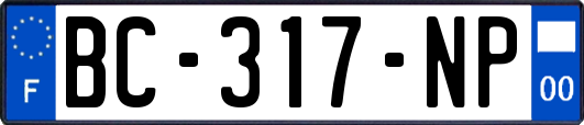 BC-317-NP
