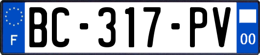 BC-317-PV